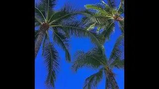 [free] che ecru + benji mikel type beat - slide thru