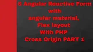 6 Angular Reactive Form with angular material, Flex layout  With PHP Cross Origin PART 1
