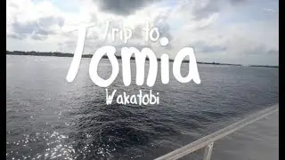 Spot Tercantik untuk Diving Snorkeling | Trip to Tomia Wakatobi