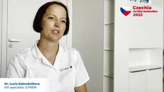 How does the donor-recipient matching process (sperm, eggs, embryos) work in the Czech Republic?