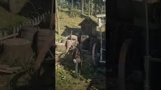 RDR 2 Secret #rdr2hindi #rdr2hindi