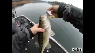 Wild West Bass Trail (Lake Shasta Pro AM)