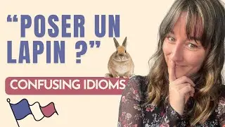 You’ll NEVER guess what these French animal means 🐸🇫🇷 for intermediate & advanced levels