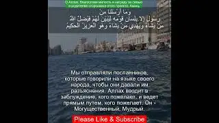 Сура Ибрагим 14:4 | Чтение Корана с русским переводом| Quran Translation Surah Ibrahim - ابراهيم &lrm;