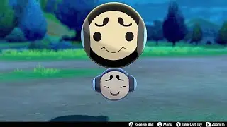 Tympole In Camp - Pokemon Sword & Shield
