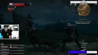 Witcher day 3