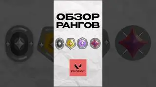 VALORANT ALL RANKS OVERVIEW #afz #valorant #valorant