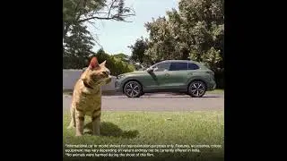 Volkswagen | Happy National Pets Day