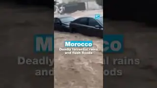 Morocco: Deadly torrential rains and flash floods &bull; FRANCE 24 English