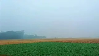 . গ্রামের সাধারণ জীবন আর এক দিনের ছোট ভ্লগ। ❤️🏡