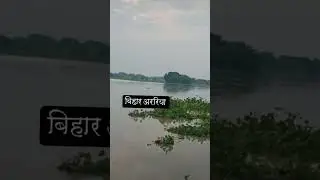 #araria flood news #biharfloodnewstoday #shorts #shortfeed #treanding #viralshorts #araria #flood
