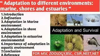 Adaptation to Different Environments: Marine,shore and Estuaries | Importance