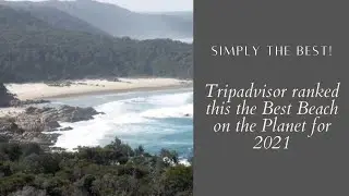 Simply The Best! - Tripadvisor ranked this the Best Beach on the Planet for 2021!