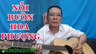 Hòa Tấu guitar - Nỗi Buồn Hoa Phượng - Trung Nguyễn - nghe gây nghiện