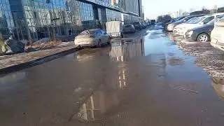 Наконец-то пришла весна☀️🌱