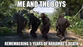 Remembering 5 years of Harambe Incident (Harambe Tribute 2021)