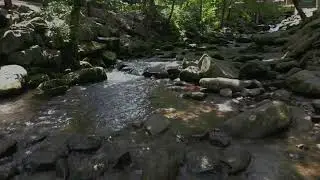 Le Conte Creek Overflight