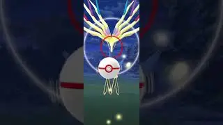 #Xerneas Caught! #Pok&eacute;monGo Raid First Day Luminous Legends X Event #Pok&eacute;monX