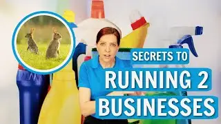 From Restaurant to Cleaning - Starting a Cleaning Business The Right Way