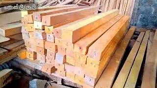 Aliyar Timber Depot - A Complete Solution for your Timber 🪵 Needs