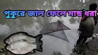 গ্রামে পুকুরে জাল ফেলে মাছ ধরা। Fishing by throwing nets in ponds in the village