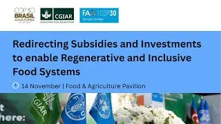 Redirecting Subsidies and Investments to enable Regenerative and Inclusive Food System
