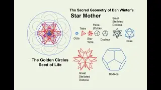Dan Winter's Star Mother Model: The Fractal Geometry of Implosion, DNA, and Human Energy field
