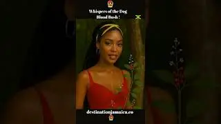 Sangre de perro: tiene un nombre gracioso y grandes beneficios #jamaica #sangredeperro #hierbas #...