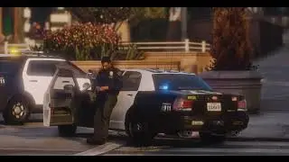 Gangs and Narcotics Division