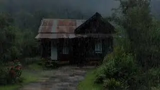Peaceful rainfall ambience creating inner stillness for deep recovery through sleep