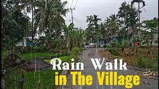 [4K] Walking in rain at the village | rain walk in the village Indonesia