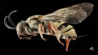 How You Can Avoid Being Stung by Einstellung: Set Yourself Up for Creativity and Innovation