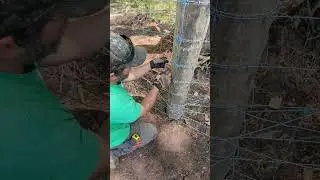 Как завязать прочный узел на проволоке ограждения. #ограждение #сельскийфехтовальщик #узел #newze...