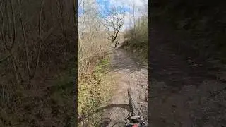 Bike park wales blue trail#mtb #bikeparkwales #subscribe