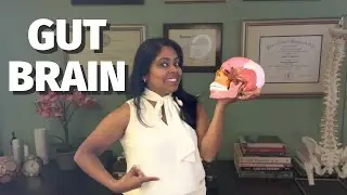 The Gut-Brain Connection After 35 For Women