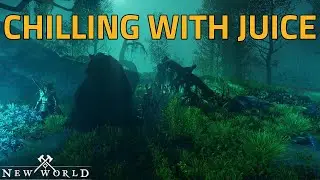 Forced to Finish Main Story Quests - New World