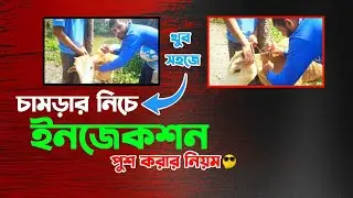 চামড়ার নিচে ইনজেকশন দেওয়ার নিয়ম | চামড়ার নিচে ইনজেকশন কিভাবে দেয়? | chamrar niche injection |