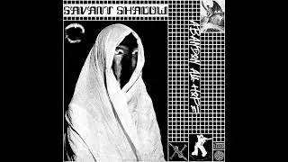 savant shadow - уклонение (evasion)