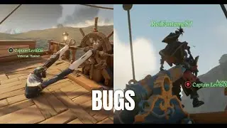 Sea of Bugs 2026 Edition