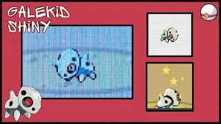 [Live Reaction🔴] [SQ Rubis #4] Galekid chromatique/ Shiny Aron after 3776 Re's ✨