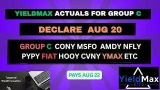 YIELDMAX GRP C DECLARATIONS CONY MSFO CVNY HOOY AMDY NFLY AND ALL THE WEEKLIES