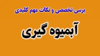 نحوه کارکرد آبمیوه گیر های گوسونیک