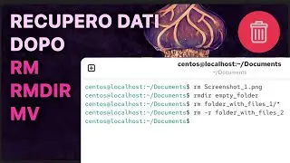 Come recuperare file e cartelle eliminati tramite Terminale in Linux (rm, rmdir, mv)