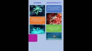 infografiche Interreg project cascade biodiversity