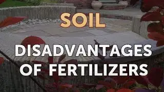 Disadvantages of Fertilizers