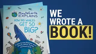 MinuteEarth Explains: How Did Whales Get So Big? | Book Trailer