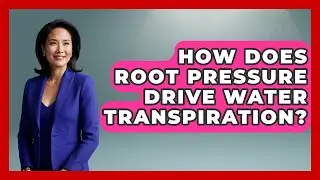 How Does Root Pressure Drive Water Transpiration? - Water Science For Everyone