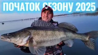 Трофейна риболовля ⚡ Як ловити судака на початку весни?