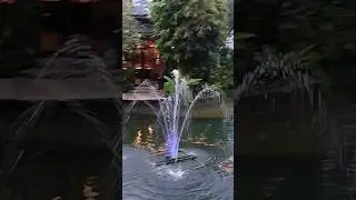 Chinese Restaurant with Natural view 😮😯Malaysia