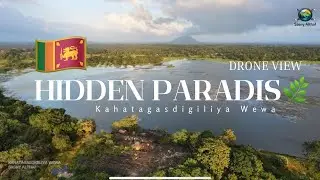 😲😍Hidden Paradise from the Sky 🌿 | Kahatagasdigiliya Wewa Drone View  #droneview 